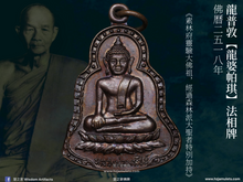 Load image into Gallery viewer, 龍普敦【龍婆帕琪】法相牌 | Rian【Luang Phor Phra Chee】LP Dune