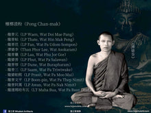 Load image into Gallery viewer, 芭達拉碧染【禪修處,戰勝魔羅】佛祖小立尊 | Phra Singh【Phra Phutta Kammathan, Pichit Man】Pa Daraphirom