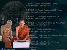 Load image into Gallery viewer, 法喜苑【吉祥聖者】聖灰善加財 | Phra Sangkajai【Ariya Mongkon】Suan Dhaam Sukkho