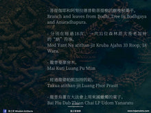 Load image into Gallery viewer, 三帝堂【銜尾九龍王】必達 | Phra Pidta【Maharat Naka-bhat】Santithaam