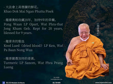 Load image into Gallery viewer, 三帝堂【銜尾九龍王】必達 | Phra Pidta【Maharat Naka-bhat】Santithaam