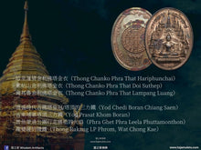 Load image into Gallery viewer, 熙穆盟寺【十二生肖】佛塔法相牌 | Phra Maha Chedi【12 Nakasat/Zodiac】Sri Moo Mueng