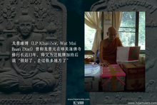 Load image into Gallery viewer, 龙普曼【助运】渡母自身牌 | Tok-moo LP Mun, Roon Kam Duang