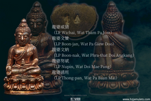 Load image into Gallery viewer, 三帝堂佛寺【衛賽節2600年】藥師佛 | Phra Kring Buddha Jayanti 2600 Bpee
