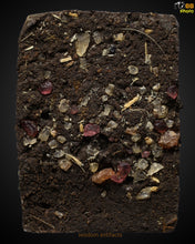 Load image into Gallery viewer, 帕崇迪【普托】,龙婆变 | Phra Somdej Phutto, LP Plien