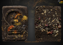 Load image into Gallery viewer, 帕崇迪【普托】,龙婆变 | Phra Somdej Phutto, LP Plien