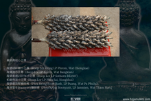 Load image into Gallery viewer, 三帝堂佛寺【衛賽節2600年】藥師佛 | Phra Kring Buddha Jayanti 2600 Bpee