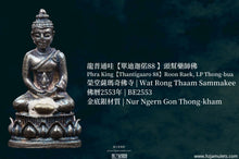 Load image into Gallery viewer, 龍普通哇【單迪迦偌88 】頭幫藥師佛 | Phra King【Thantigaaro 88】Roon Raek, LP Thong-bua
