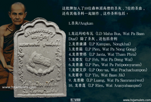 Load image into Gallery viewer, 龙普曼【助运】渡母自身牌 | Tok-moo LP Mun, Roon Kam Duang