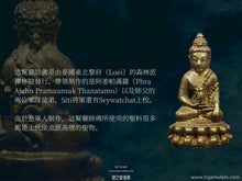 Load image into Gallery viewer, 鄭姓皇【萬符扭轉乾坤】藥師佛 | Phra Kring【Muen Yant Petch Glab】Taksin