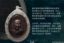 Load image into Gallery viewer, 龙普杏【无忧】自身牌 | Rian Mod Huang, LP Sim