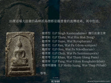 Load image into Gallery viewer, 龍普型【芭猜灣】入塔崇迪佛 | Phra Somdej Gru【Pa-Chaiwan】LP Singh