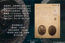 Load image into Gallery viewer, 龙普杏【无忧】自身牌 | Rian Mod Huang, LP Sim