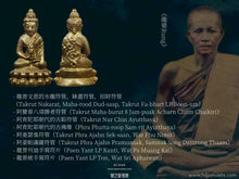 Load image into Gallery viewer, 鄭姓皇【萬符扭轉乾坤】藥師佛 | Phra Kring【Muen Yant Petch Glab】Taksin