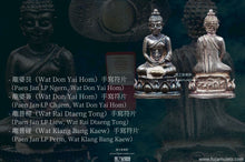 Load image into Gallery viewer, 龍普通哇【單迪迦偌88 】頭幫藥師佛 | Phra King【Thantigaaro 88】Roon Raek, LP Thong-bua