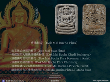 Load image into Gallery viewer, 三帝堂【庫奇威】七龍崇迪 | Phra Somdej【Koo Cheewit】Santitham
