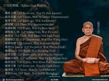 Load image into Gallery viewer, 三帝堂【銜尾九龍王】必達 | Phra Pidta【Maharat Naka-bhat】Santithaam
