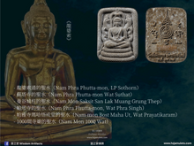 Load image into Gallery viewer, 三帝堂【庫奇威】七龍崇迪 | Phra Somdej【Koo Cheewit】Santitham
