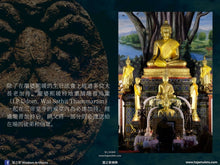 Load image into Gallery viewer, 三帝堂【銜尾九龍王】必達 | Phra Pidta【Maharat Naka-bhat】Santithaam
