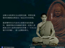 Load image into Gallery viewer, 龍婆變【燙斗】自身粉牌 | Phra Pong【Tao-rid】LP Plien
