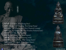 Load image into Gallery viewer, 【僧人醫院】藥師佛 | Phra Kring【Rong Payaban Song】
