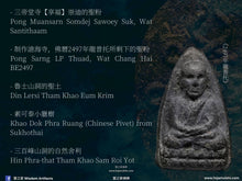 Load image into Gallery viewer, 三帝堂【銜尾九龍王】必達 | Phra Pidta【Maharat Naka-bhat】Santithaam
