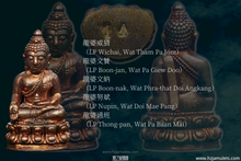 Load image into Gallery viewer, 三帝堂佛寺【衛賽節2600年】藥師佛 | Phra Kring Buddha Jayanti 2600 Bpee
