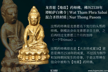 Load image into Gallery viewer, 龙普愿【地震】药师佛 | Phra Kring【Paendin Wai】LP When
