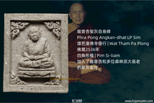 Load image into Gallery viewer, 龍普杏聖灰自身牌 | Phra Pong Angkan-dhat LP Sim
