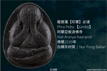 Load image into Gallery viewer, 龍普蓮【珍寶】必達 | Phra Pidta 【Jumbo】LP Rien
