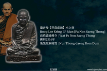 Load image into Gallery viewer, 龍普曼【芭農盛通】小立尊 | Roop Lor Kring LP Mun [Pa Non Saeng Thong]
