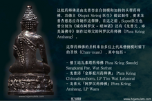 Load image into Gallery viewer, 龙普杏【菩提严】药师佛，头帮 | Phra Kring【Photiyan】LP Sim
