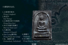 Load image into Gallery viewer, 龍普蓮【九吉祥】崇迪 | Phra Somdej【9 Mongkon】LP Rien
