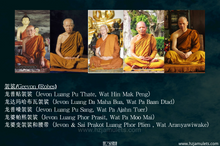 Load image into Gallery viewer, 【成愿】帕坤平 | Phra Khun Paen Roon 【Som-pratana】
