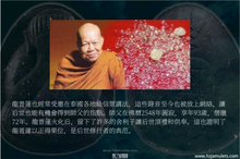 Load image into Gallery viewer, 龍普蓮【珍寶】必達 | Phra Pidta 【Jumbo】LP Rien
