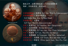 Load image into Gallery viewer, 昭坤乌巴李【150年冥诞】系列，三圣瓦烧牌 | Locket Sam-Buraphajahn, Roon 150 Bpee Chao Khun Upali
