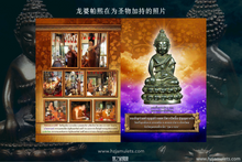 Load image into Gallery viewer, ［大富运］天斧药师佛 |  Phra Kring Kwan Fa [Maha-sittichok]
