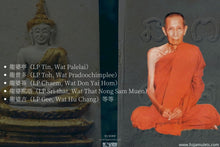 Load image into Gallery viewer, 靈感佛祖【墜機奇跡版】法相牌 | Luang Phor Phra Sai [Roon Prasobgan Krueng-bin Tok]
