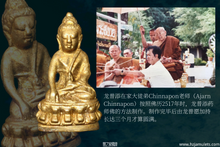 Load image into Gallery viewer, 龙普愿【地震】药师佛 | Phra Kring【Paendin Wai】LP When
